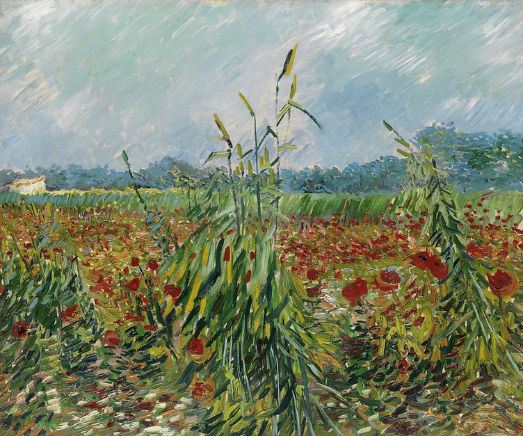 🌾 Grønne hveteaks – Vincent van Gogh (1888)