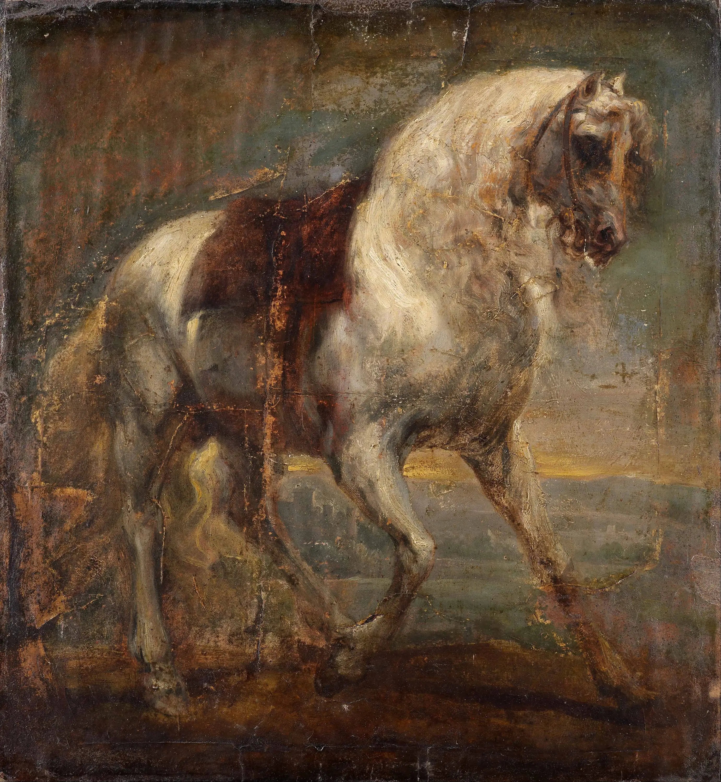 Un cheval gris - Antoine van Dyck - Alpha Reproduction