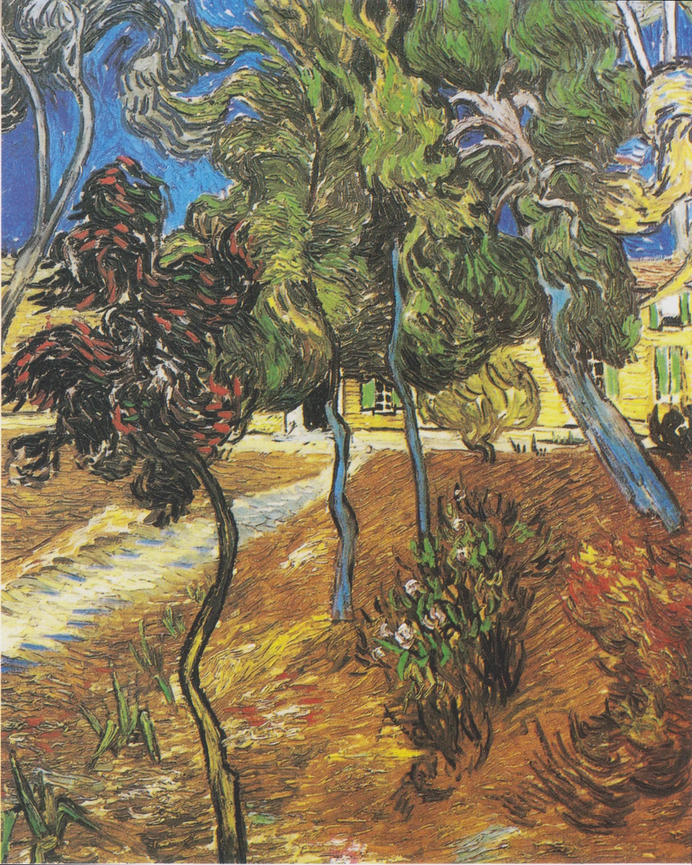 Reproduction du tableau « Arbres du jardin de l'hôpital Saint-Paul - Vincent van Gogh » par Alpha Reproduction en peinture à l’huile