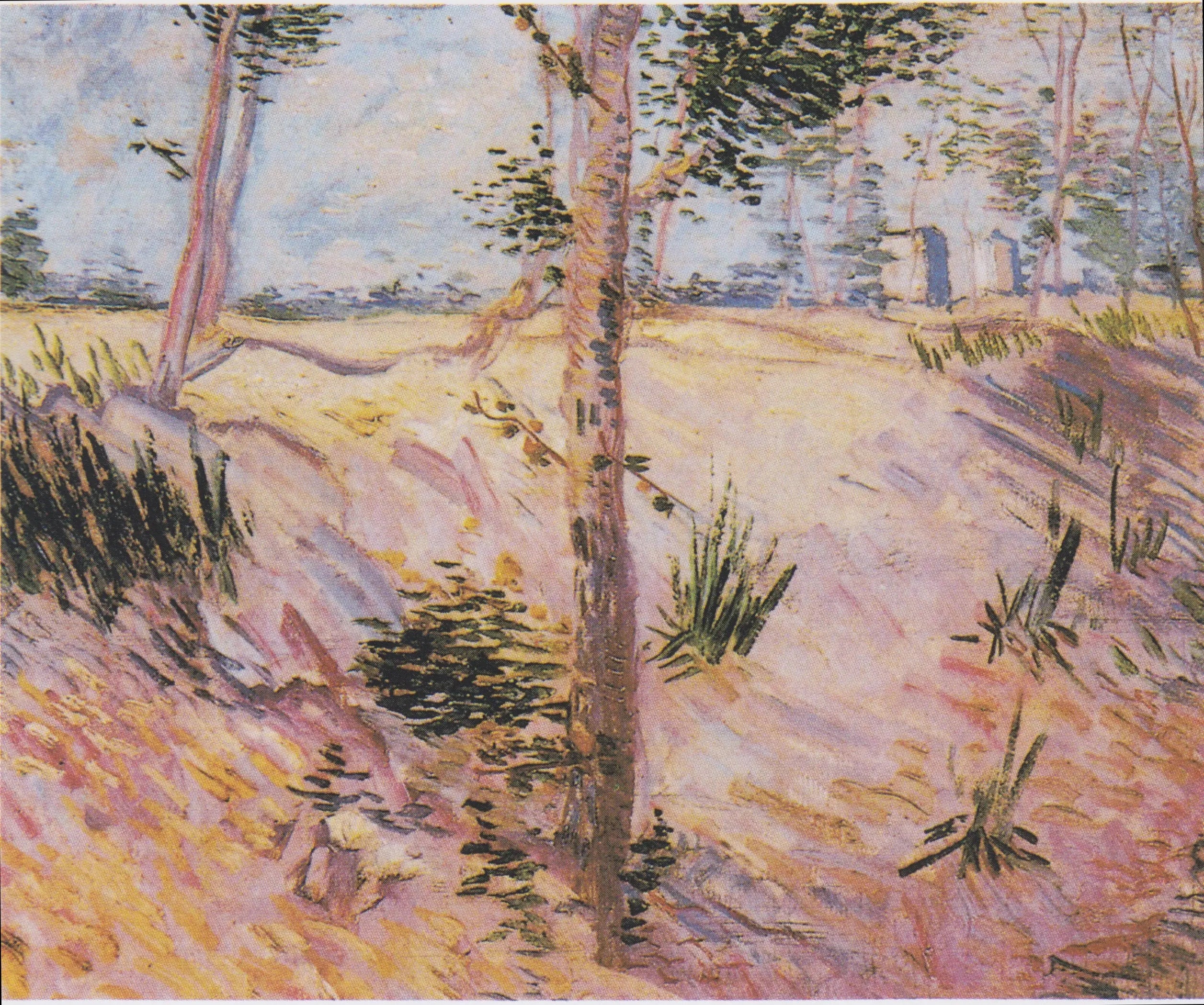 Reproduction du tableau « Arbres sur une pente - Vincent van Gogh » par Alpha Reproduction en peinture à l’huile