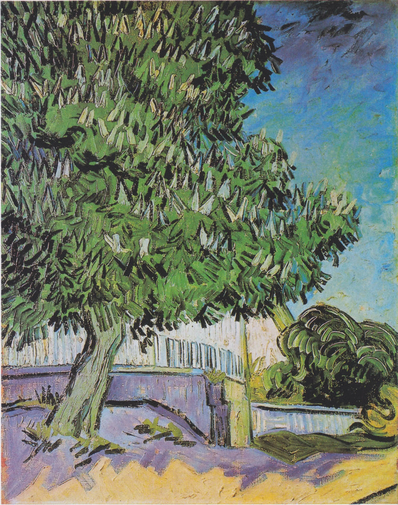 Kastanjer i blomst - Vincent van Gogh