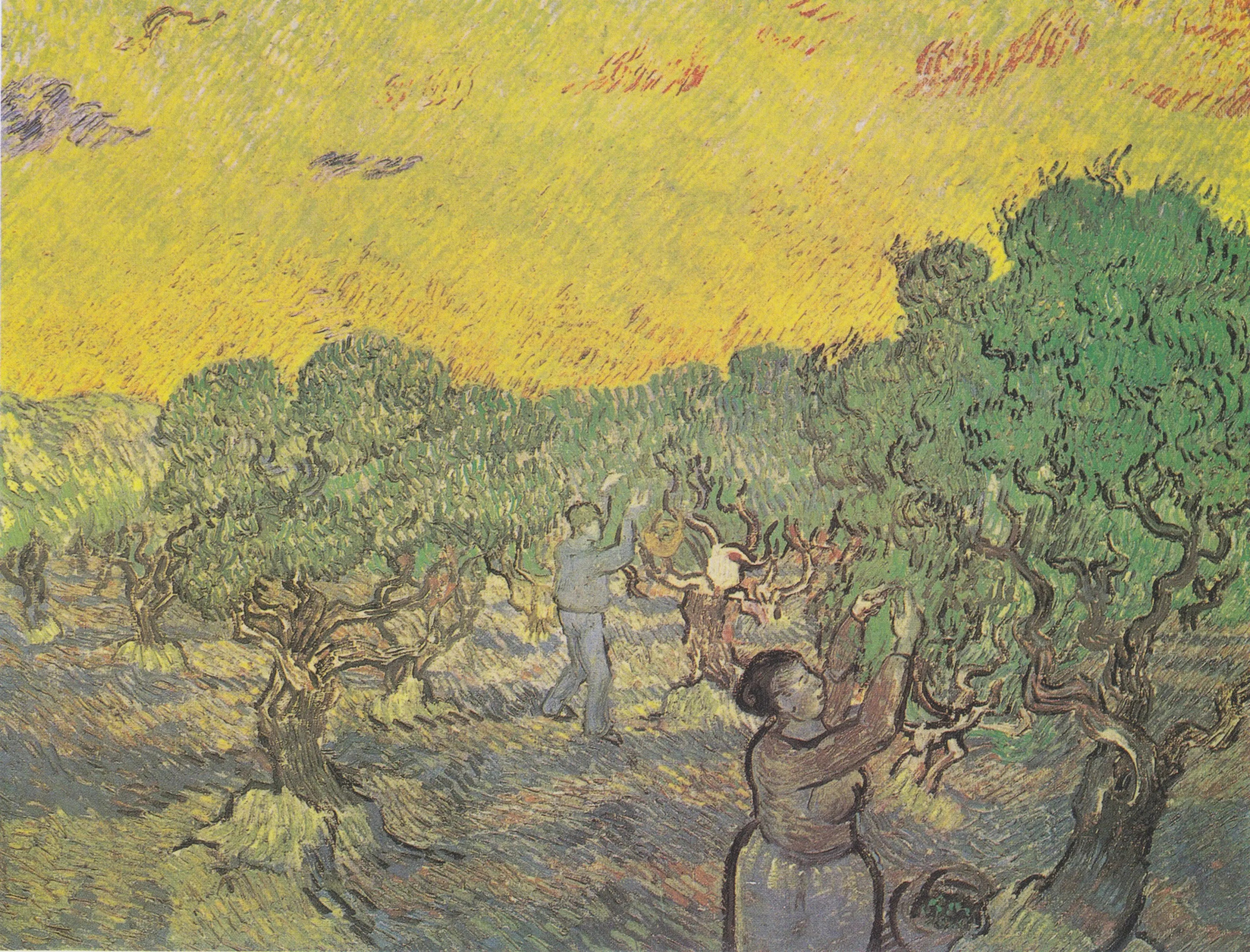 Reproduction du tableau « Oliveraie avec figurines de cueillette - Vincent van Gogh » par Alpha Reproduction en peinture à l’huile