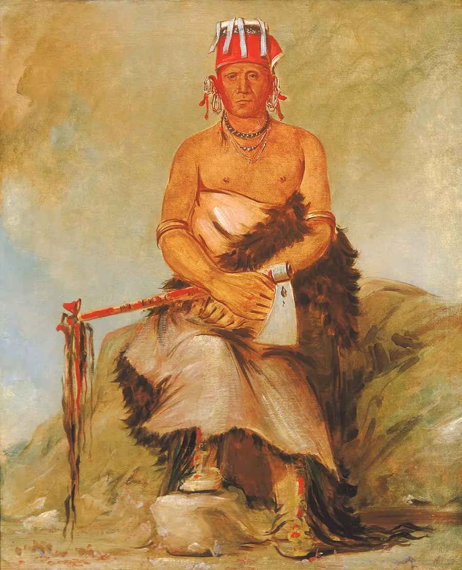 A'h-sha-la-cóots-ah, skjønnhetsmerke i pannen, leder for Pawnee-republikanerne - George Catlin

Source:
A'h-sha-la-cóots-ah, grain de beauté sur le front, chef des républicains Pawnee - George Catlin