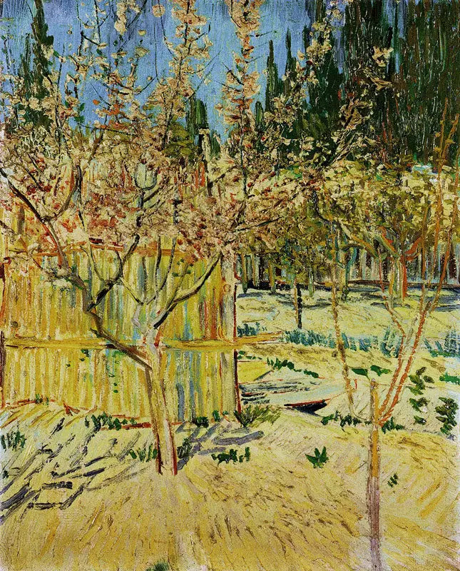 Blomstrende aprikostre - Vincent van Gogh