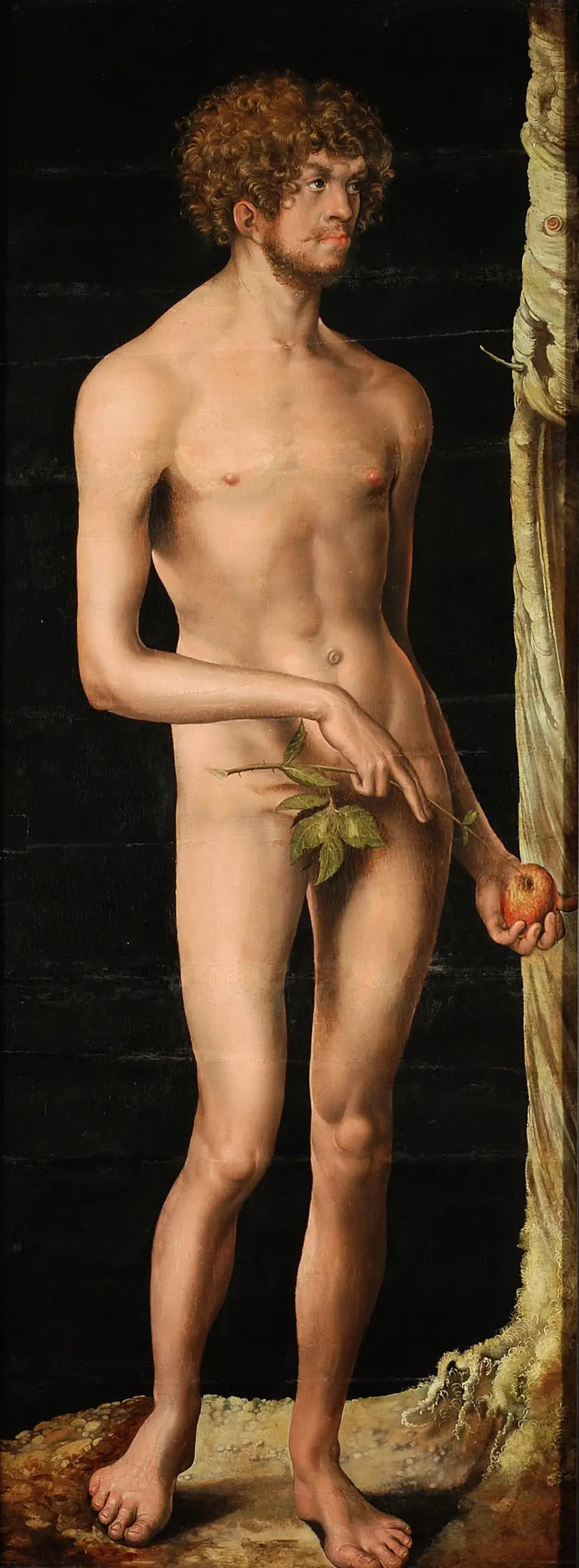 Adam - Lucas Cranach the Elder image 1 copie de tableau peinte à la main