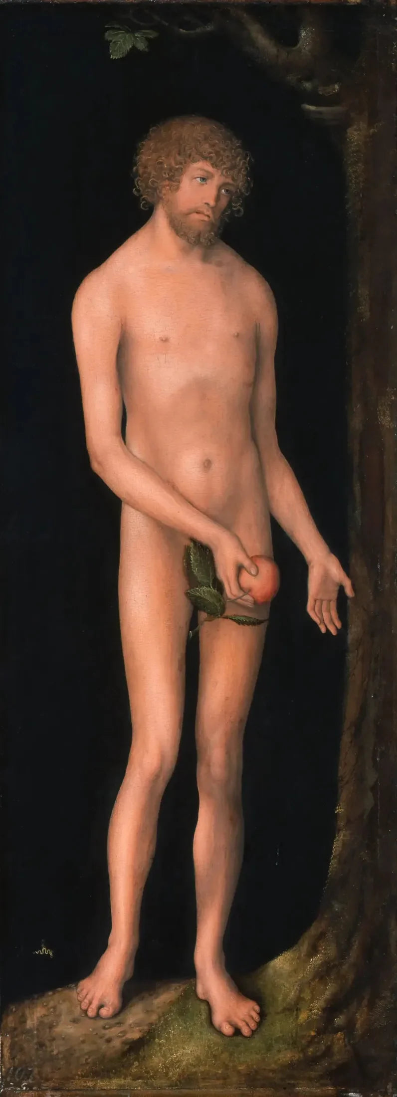 Adam - Lucas Cranach den eldre