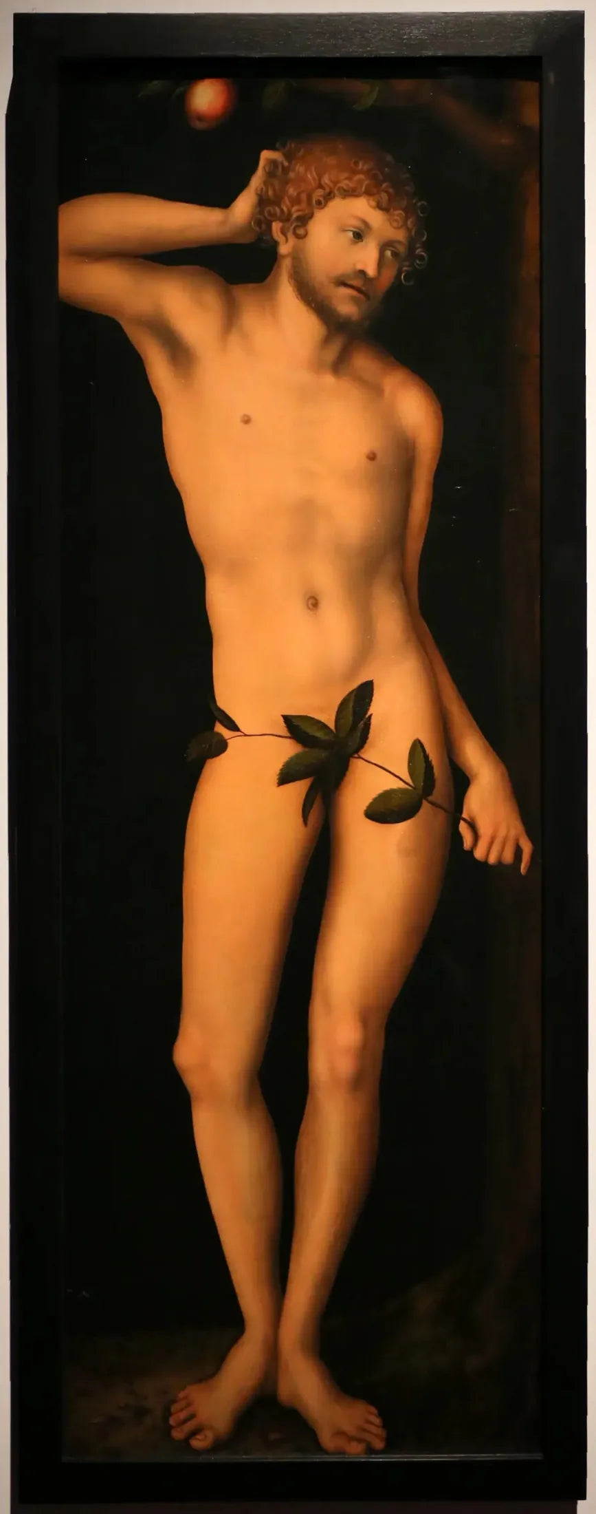 Adam - Lucas Cranach den eldre