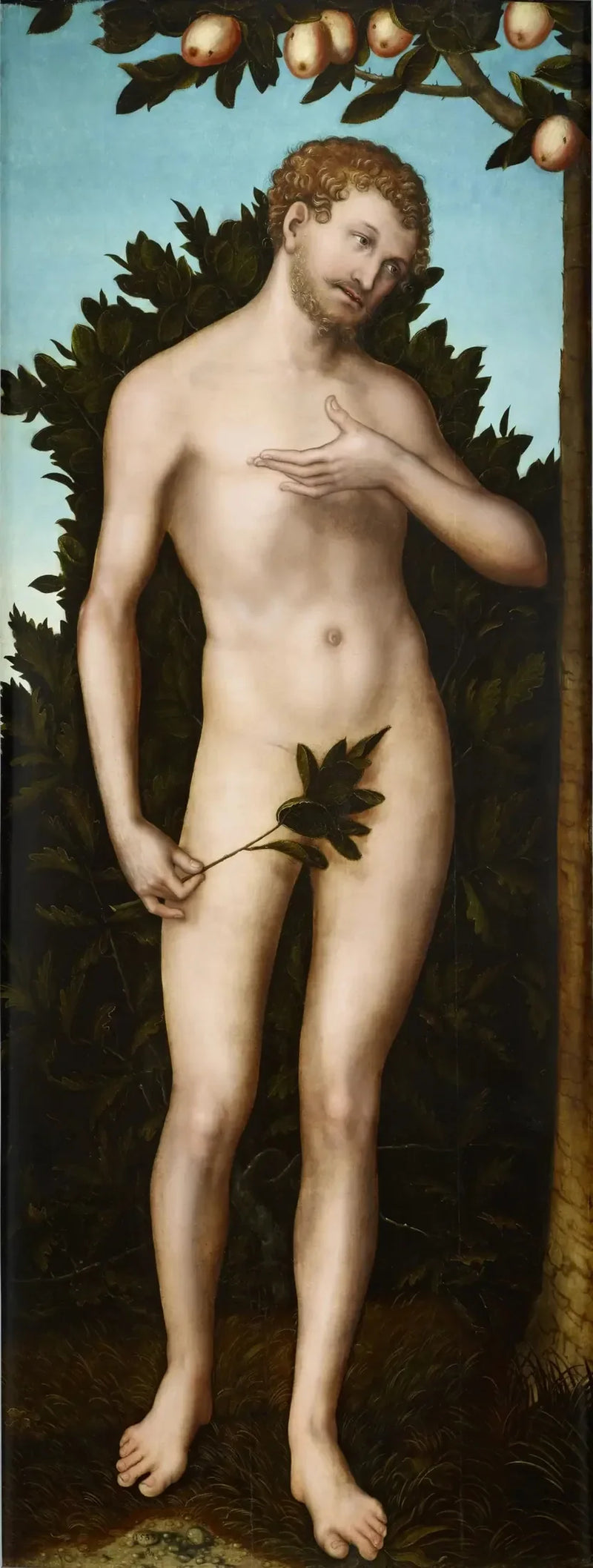 Adam - Lucas Cranach den eldre