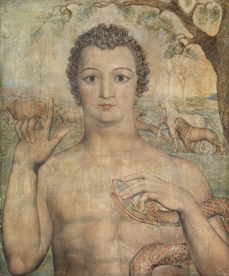 Adam kaller dyrene - William Blake