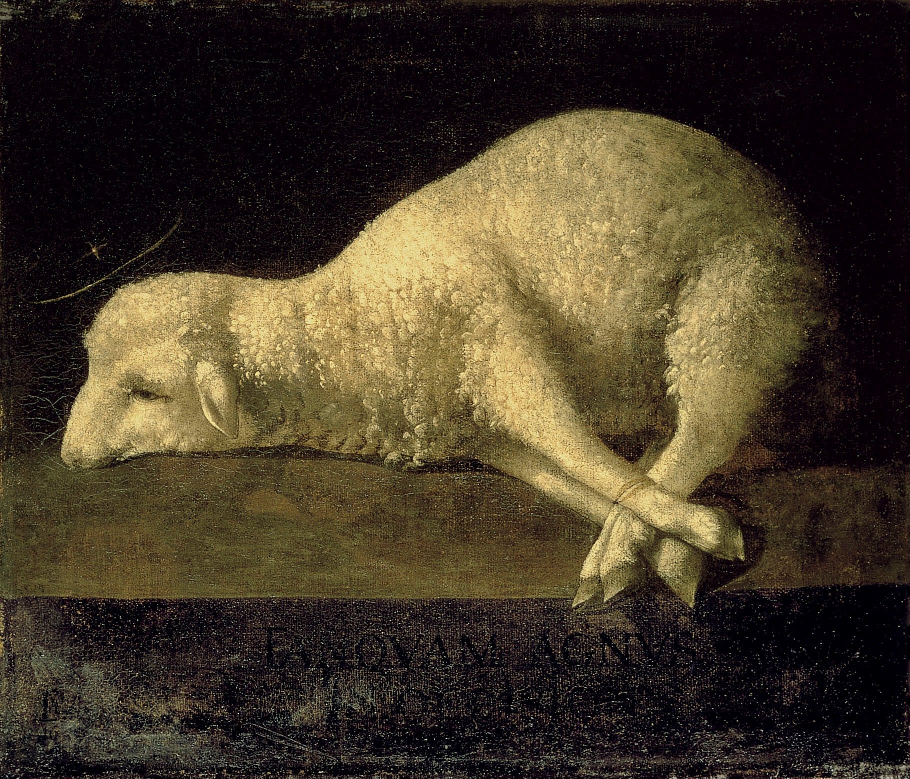 Agnus Dei (1639) - Francisco de Zurbarán - Alpha Reproduction