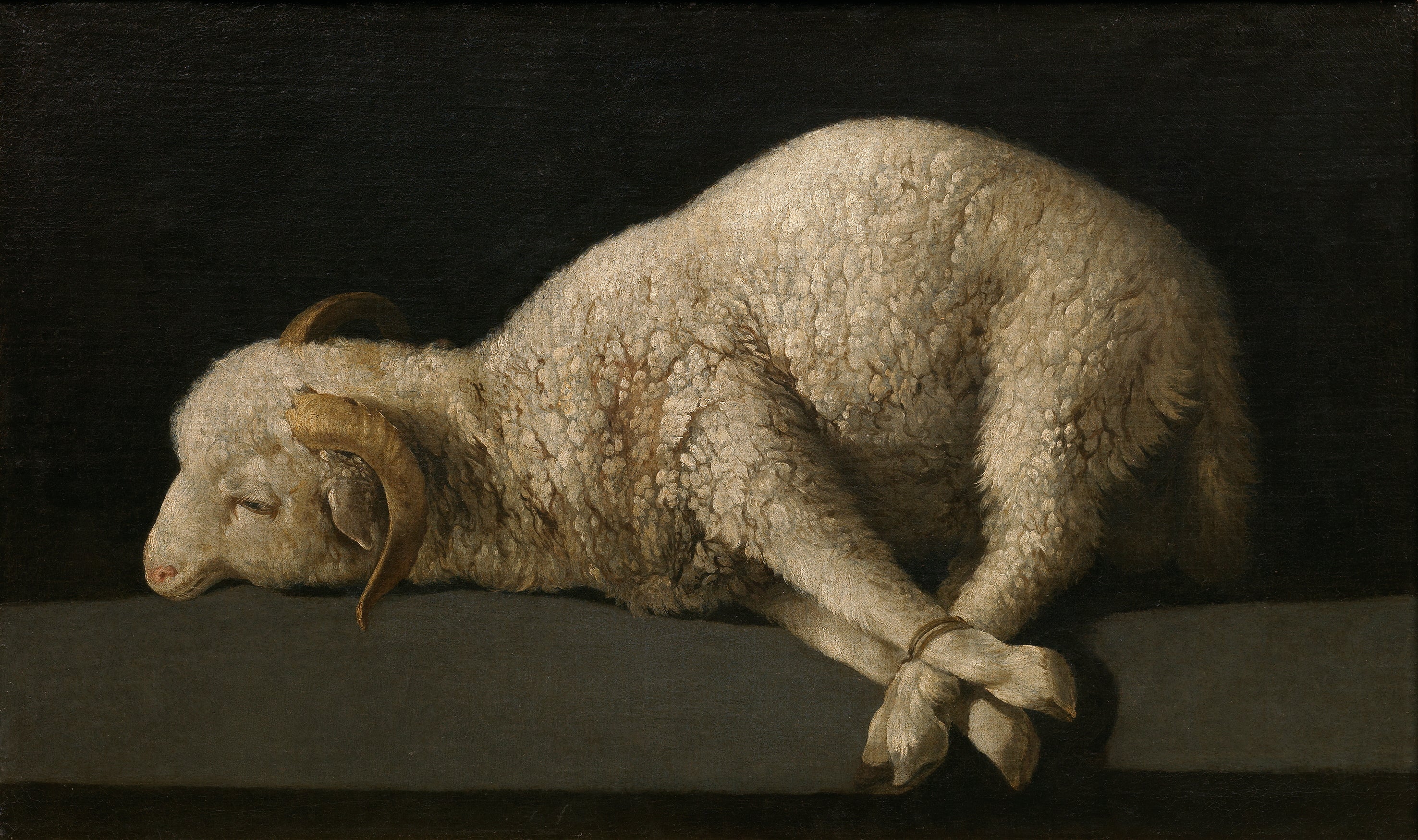 Agnus Dei - Francisco de Zurbarán - Alpha Reproduction