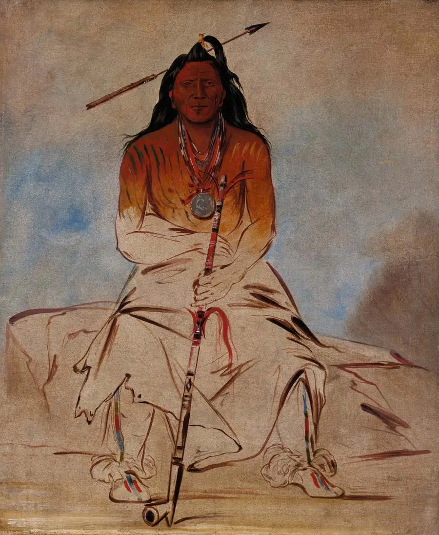 Ah-sháw-wah-róoks-te, medisinhest, en stor Pawnee-kriger - George Catlin

Source:
Ah-sháw-wah-róoks-te, Cheval de médecine, un Grand Brave Pawnee - George Catlin