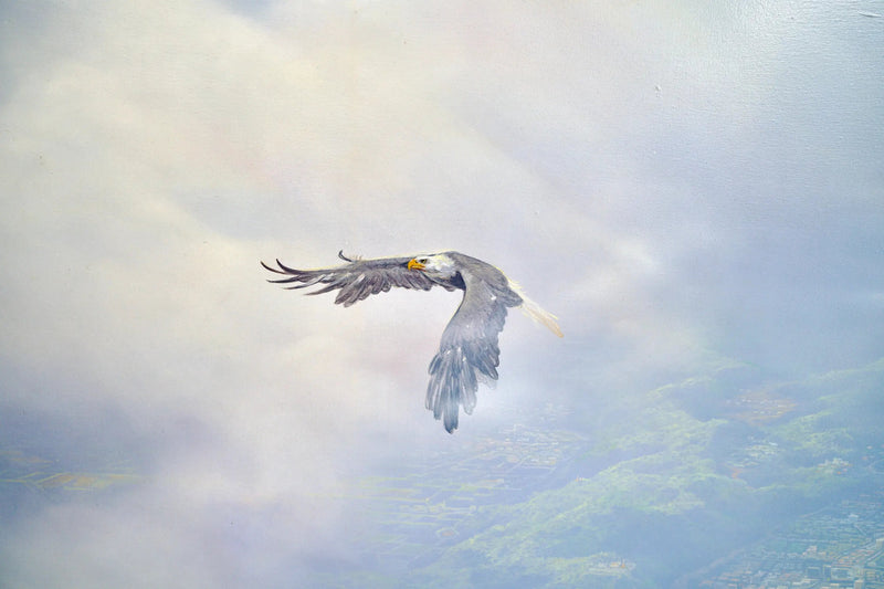Eagles in Flight | 200 x 170 cm