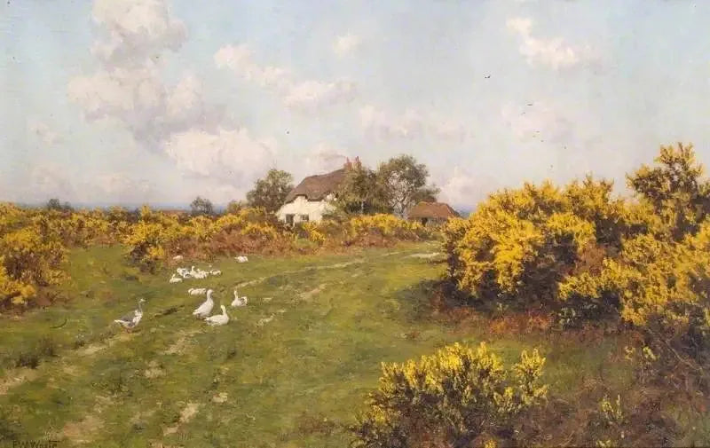 Ajonks på et kommunalt område i Berkshire (Bucklebury Common) - Edward Wilkins Waite

Source:
Ajoncs sur un terrain communal du Berkshire (Bucklebury Common) - Edward Wilkins Waite