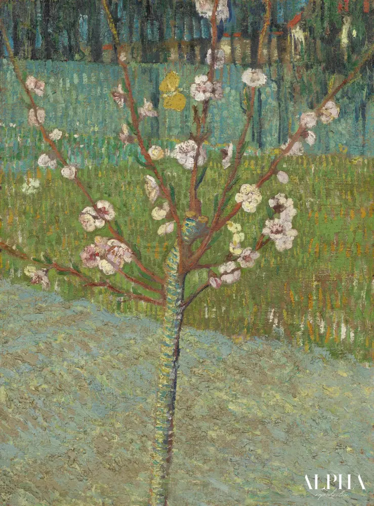 Amandier en fleur - Van Gogh - Reproductions de tableaux et peintures haut de gamme