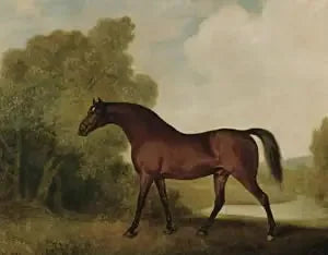 Ambrosio, en brun hingst, eid av Thomas Haworth - George Stubbs

Source:
Ambrosio, un étalon bai, propriété de Thomas Haworth - George Stubbs