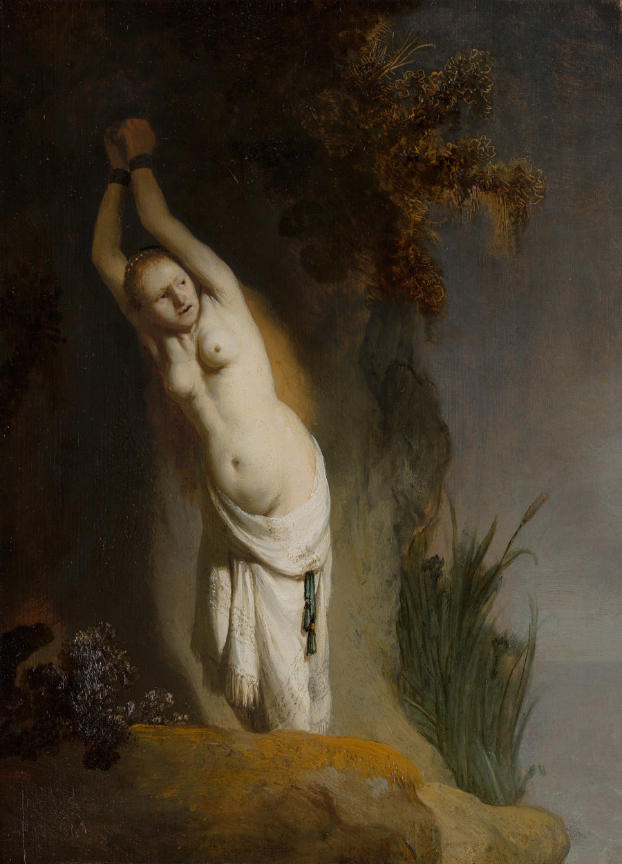 Andromeda i lenker - Rembrandt