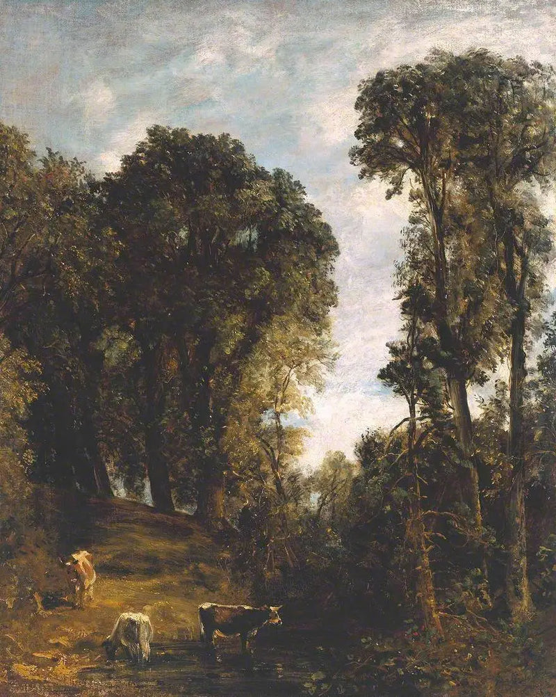 Hampstead-trær - John Constable