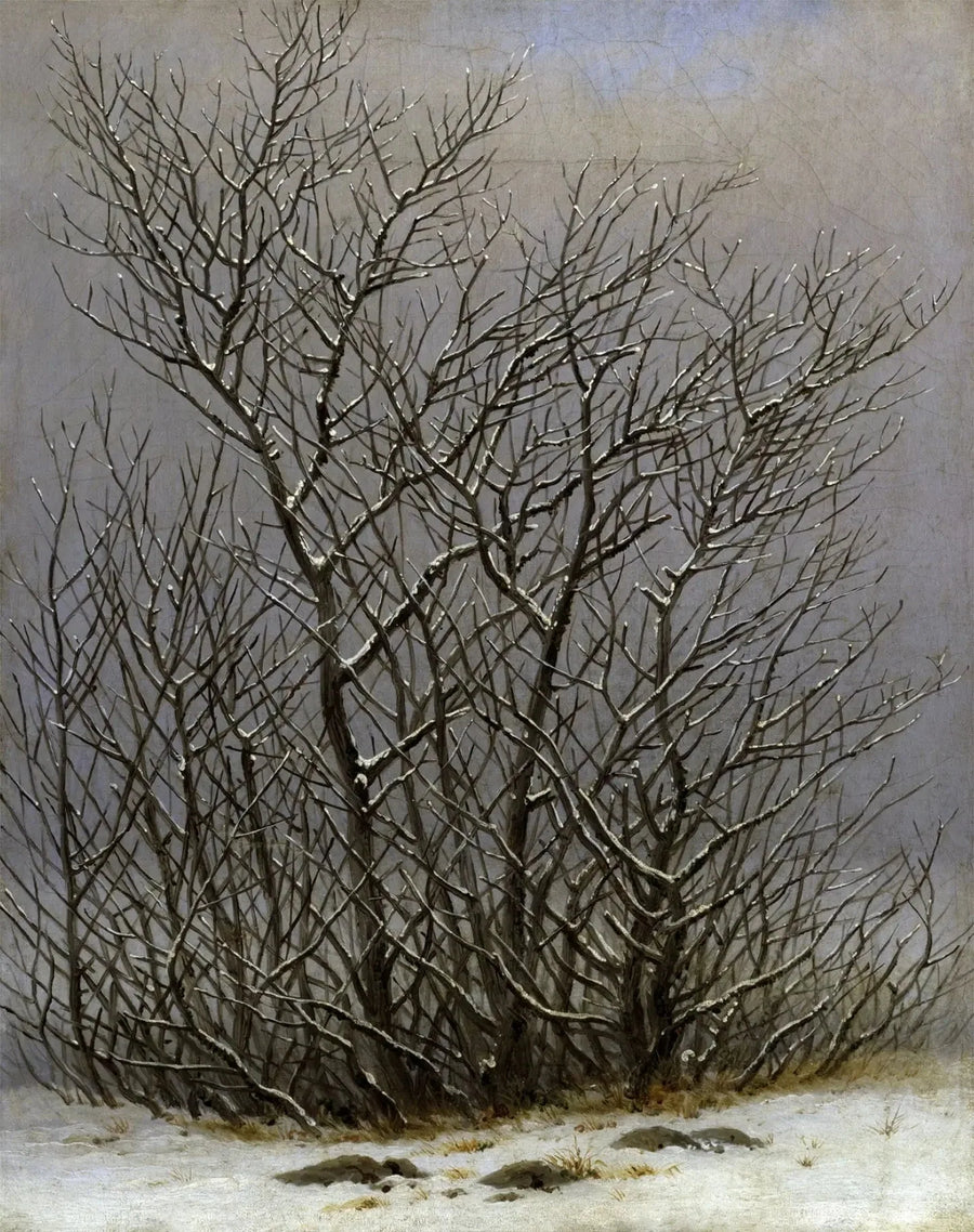 Trær og busker under snøen - Caspar David Friedrich