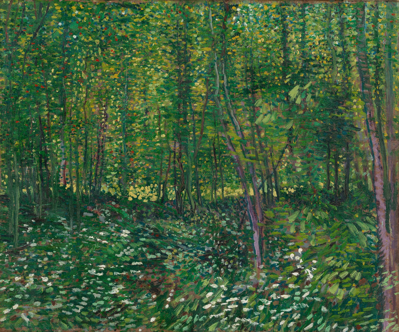 Trær og underskog - Vincent van Gogh
