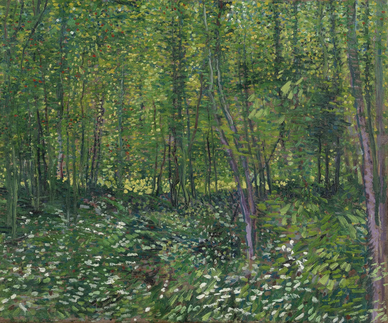 Trær og underskog - Vincent van Gogh