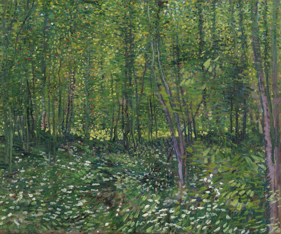 Trær og underskog - Vincent van Gogh