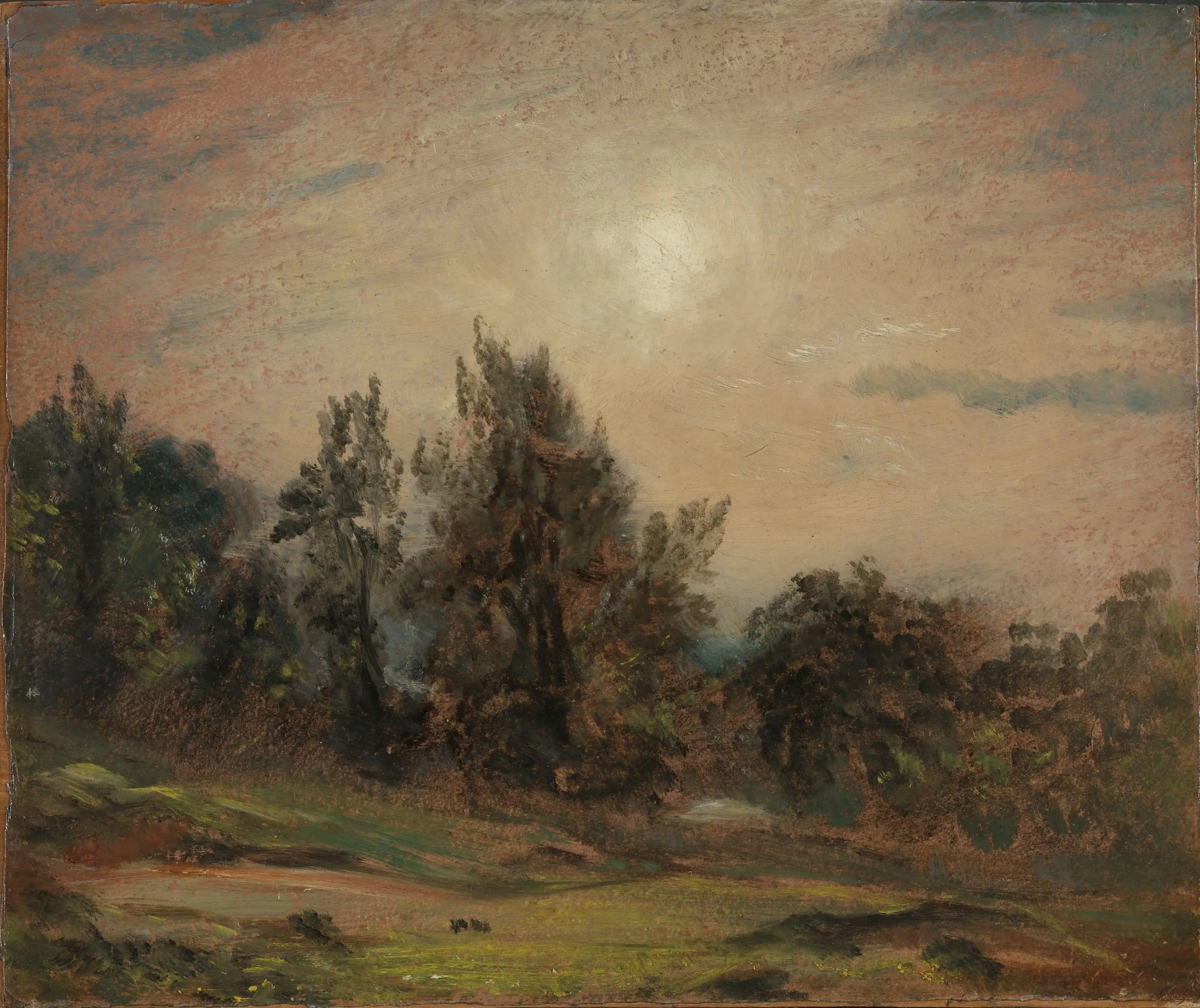 Arbres sur Hampstead Heath - John Constable - Alpha Reproduction