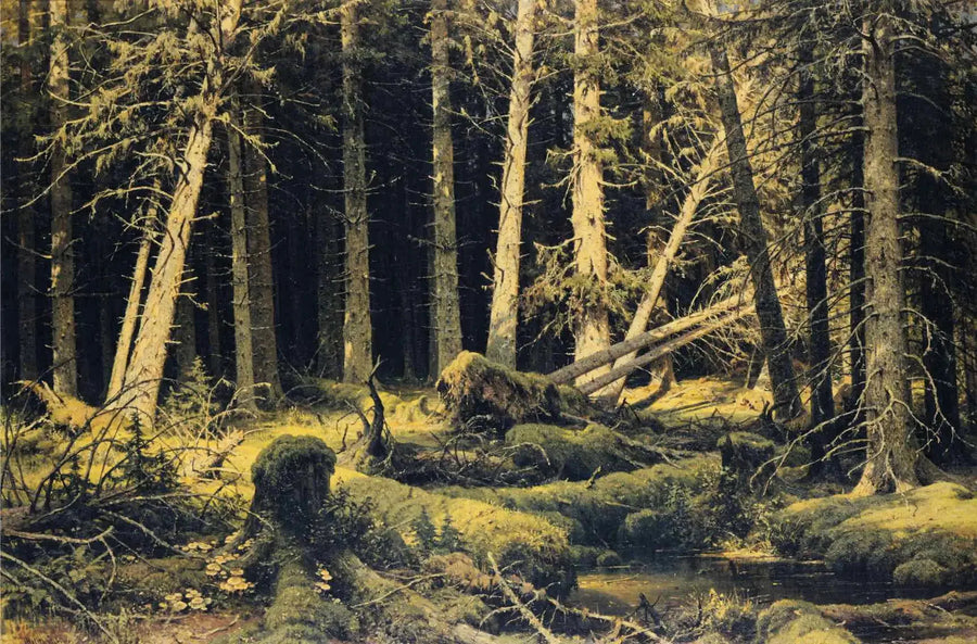 Trær som har falt av vinden - Ivan Chichkine

Source:
Arbres tombés par le vent - Ivan Chichkine