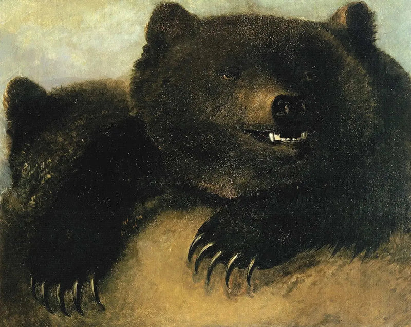 Våpen og ansiktsuttrykk til grizzlybjørnen - George Catlin

Source:
Armes et physionomie de l'ours grizzli - George Catlin