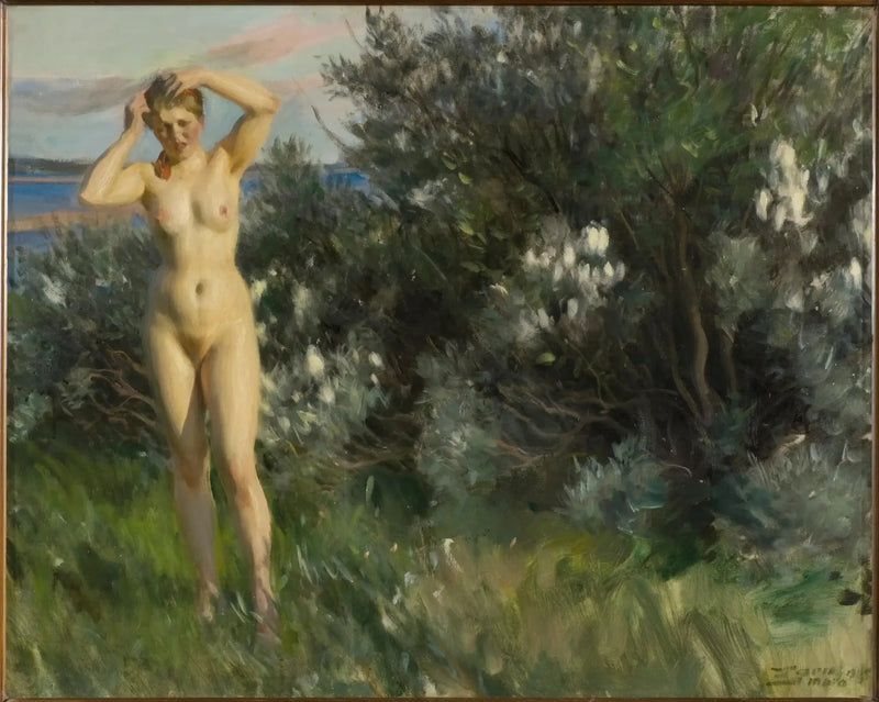 Ved bredden av Siljan-sjøen - Anders Zorn

Source:
Au bord du lac Siljan - Anders Zorn