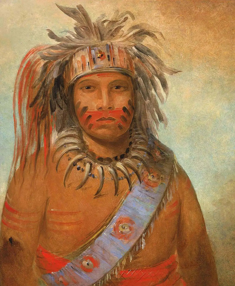 Au-nim-muck-kwa-um, stormfugl - George Catlin

Source:
Au-nim-muck-kwa-um, oiseau de la tempête - George Catlin
