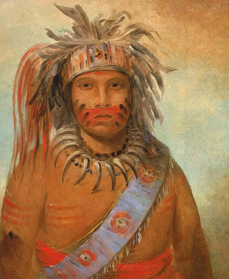 Au-nim-muck-kwa-um, stormfugl - George Catlin

Source:
Au-nim-muck-kwa-um, oiseau de la tempête - George Catlin