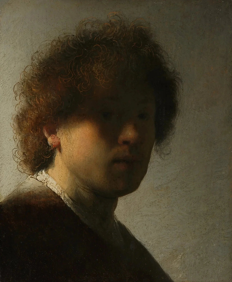 Selvportrett med ustyrlige hår - Rembrandt