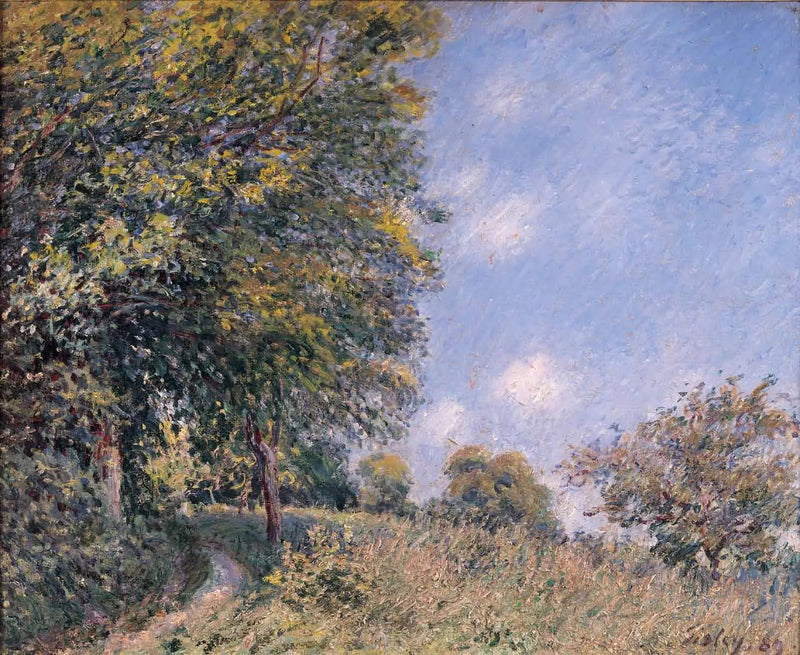 Rundt skogen, morgen i juli - Alfred Sisley