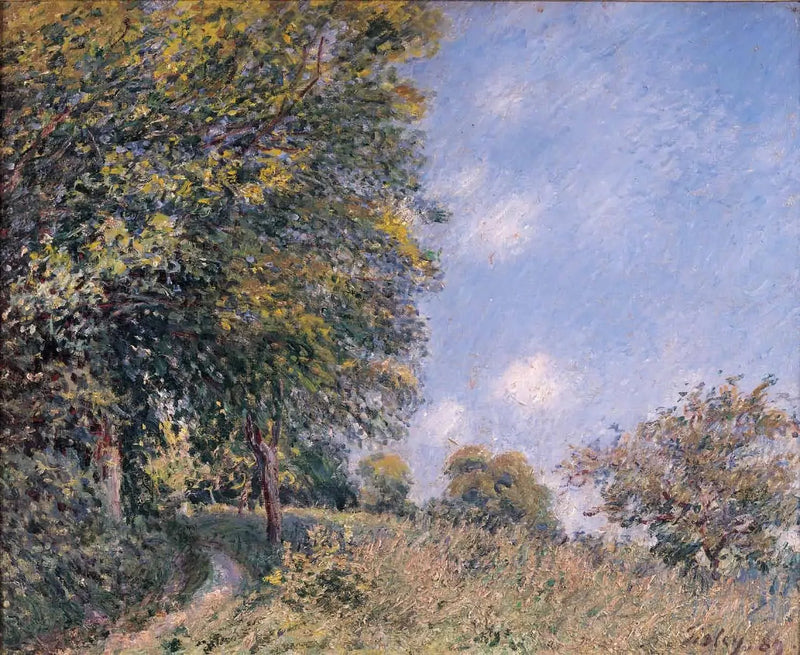Rundt skogen, morgen i juli - Alfred Sisley