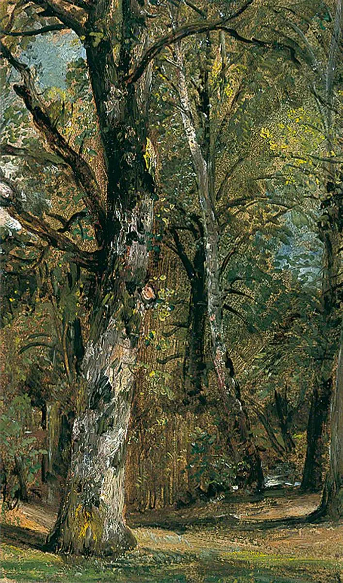 Avenyen av Trær - John Constable