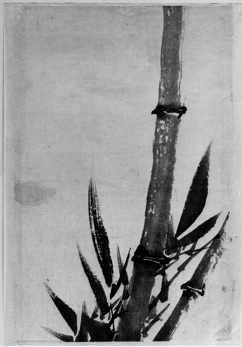 Bambus - Hokusai

Source:
Bambou - Hokusai
