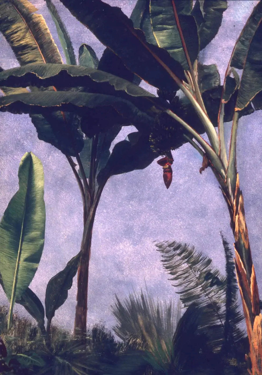 Bananpalmer - Albert Bierstadt

Source:
bananiers - Albert Bierstadt