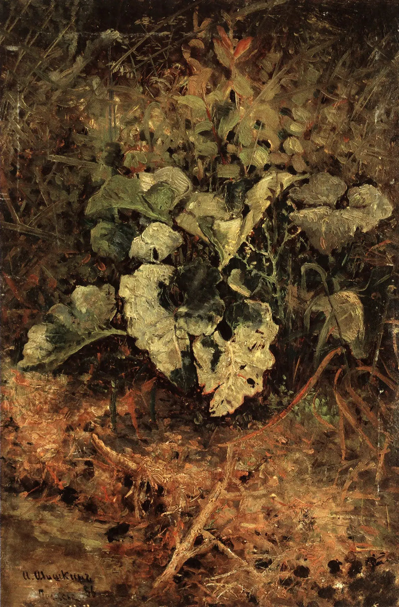 Bardane - Ivan Chichkine

Source:
Bardane - Ivan Chichkine