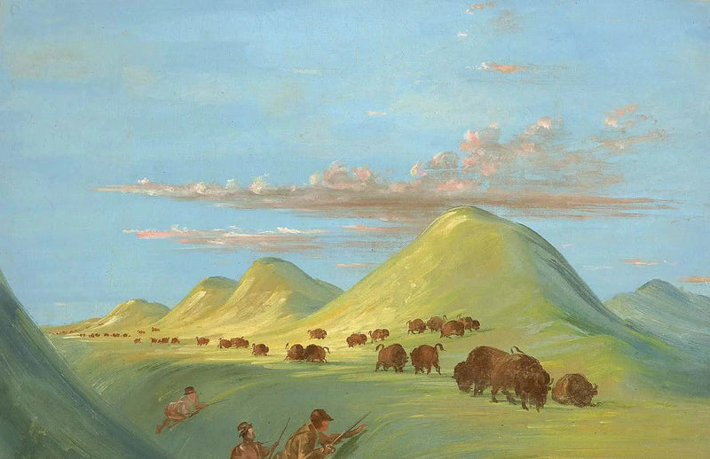 Batiste, Bogard og meg nærmer oss Buffalo på Missouri - George Catlin

Source:
Batiste, Bogard et moi approchant de Buffalo sur le Missouri - George Catlin