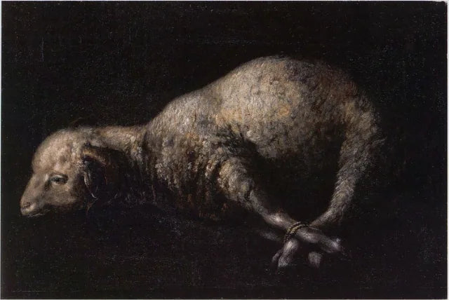 Væren med føttene bundet - Francisco de Zurbarán