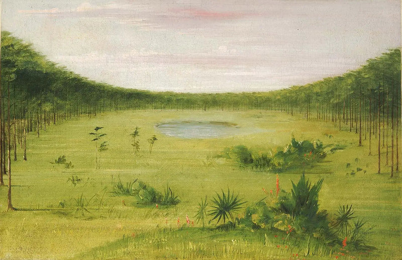 Vakker savanne i furuskogene i Florida - George Catlin

Source:
Belle savane dans les pinèdes de Floride - George Catlin