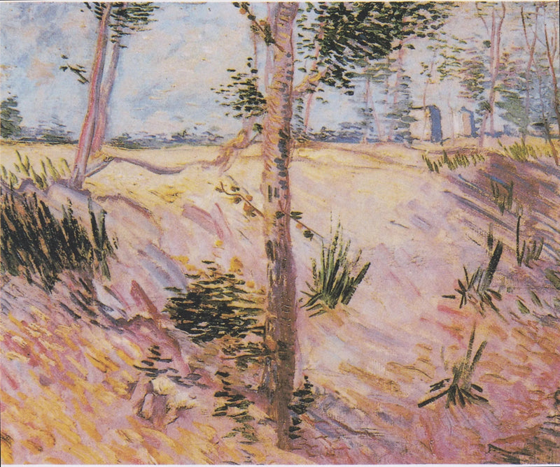 Trær på en skråning - Vincent van Gogh