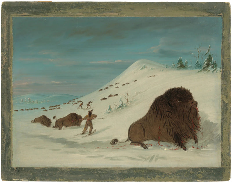 Bison som kaster seg inn i snøføyker - Sioux - George Catlin

Source:
Bison se lançant dans les congères - Sioux - George Catlin