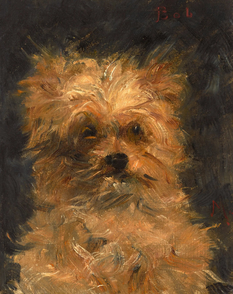 Bob, griffon hund - Édouard Manet