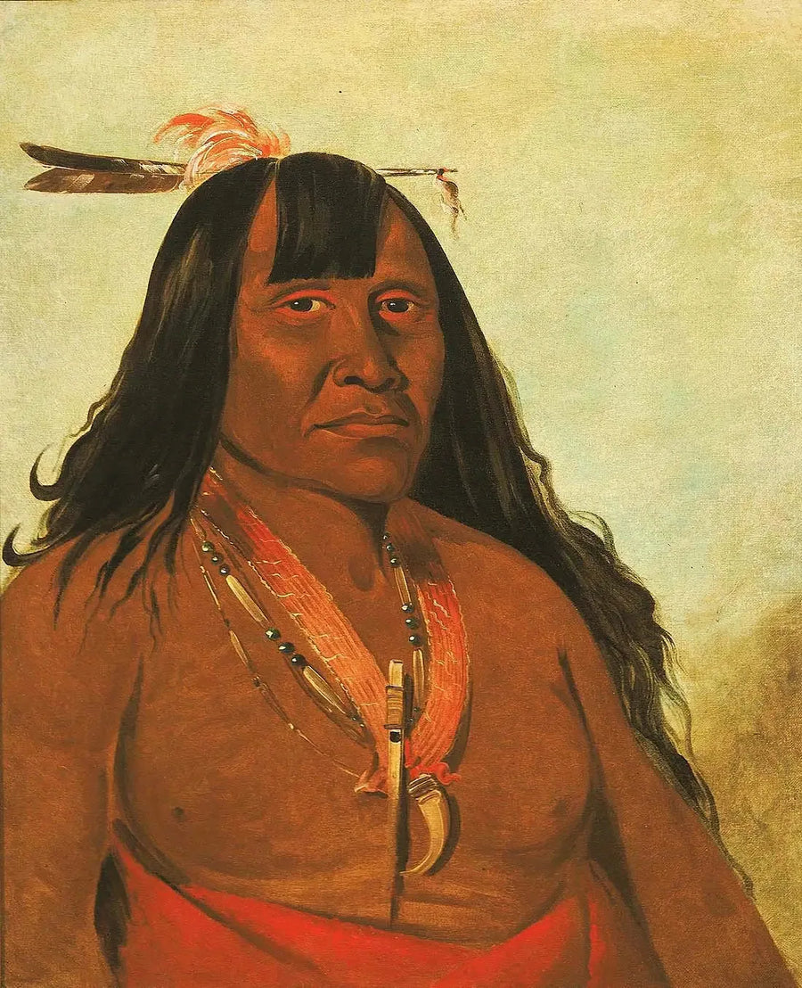 Bón-són-gee, Ny ild, en bandeleder - George Catlin

Source:
Bón-són-gee, New Fire, un chef de bande - George Catlin