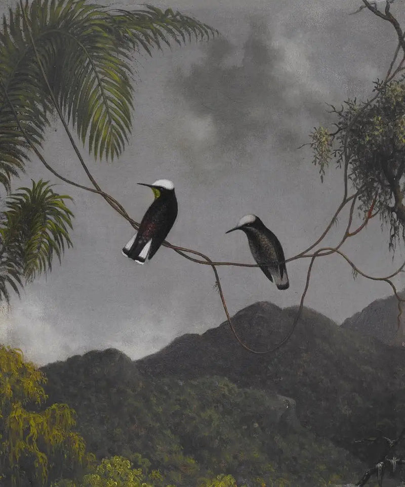 Snøhette - Martin Johnson Heade

Source:
Bonnet de neige - Martin Johnson Heade