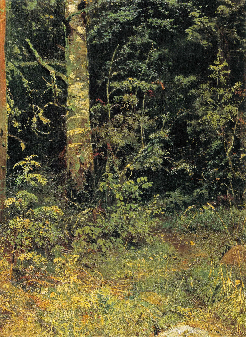 Bjørk og epletre - Ivan Chichkine

Source:
Bouleau et sorbier - Ivan Chichkine