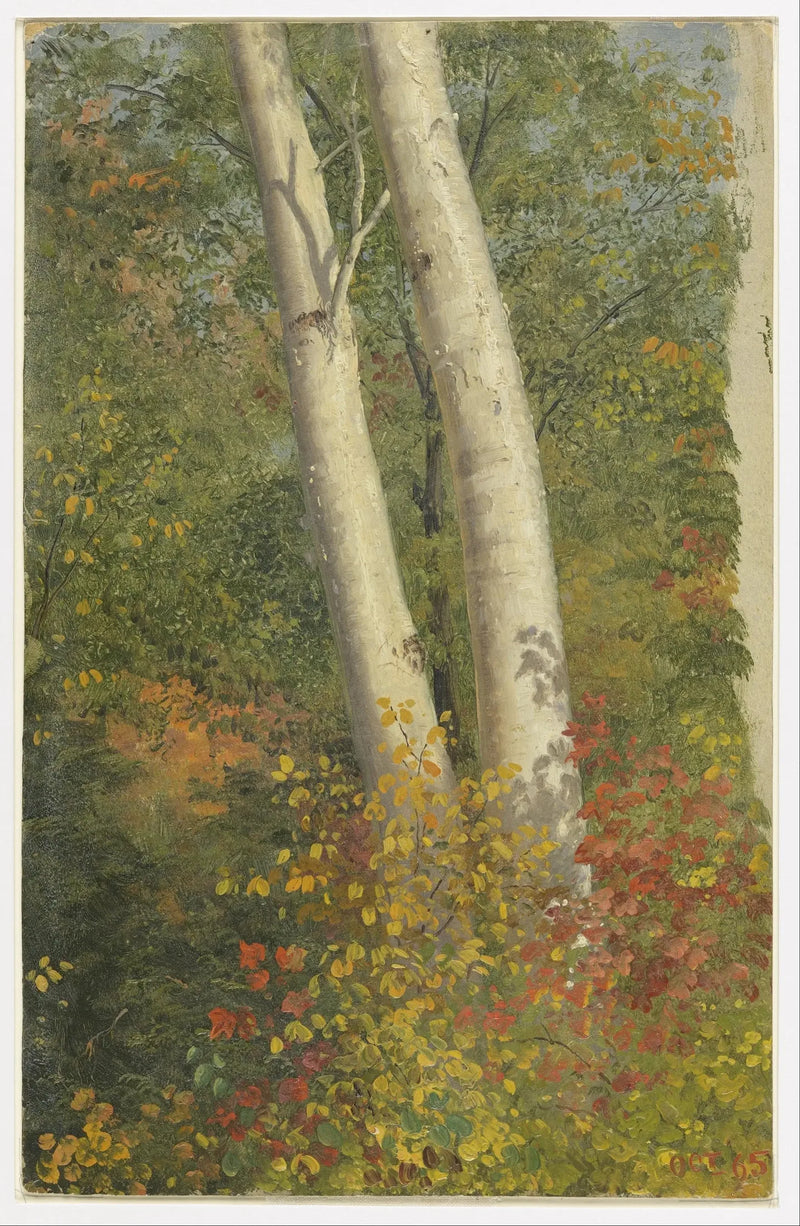 Bøketrær om høsten - Frederic Edwin Church

Source:
Bouleaux en automne - Frederic Edwin Church