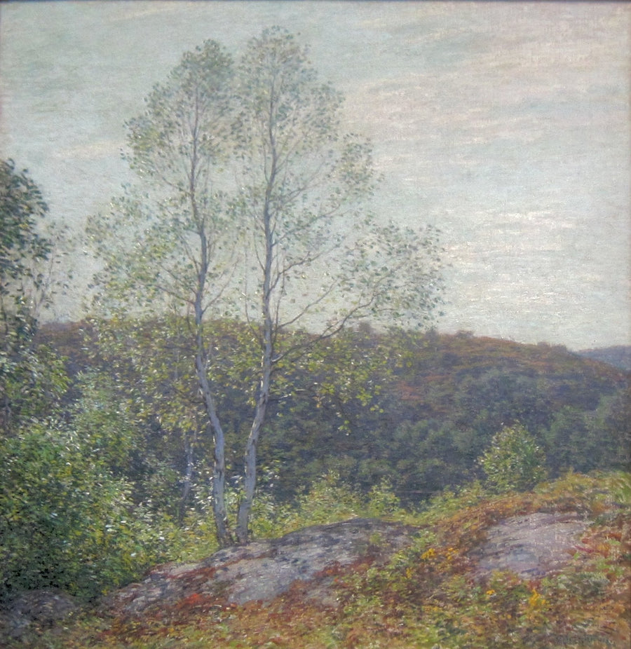 Tvillingkuler - Willard Metcalf